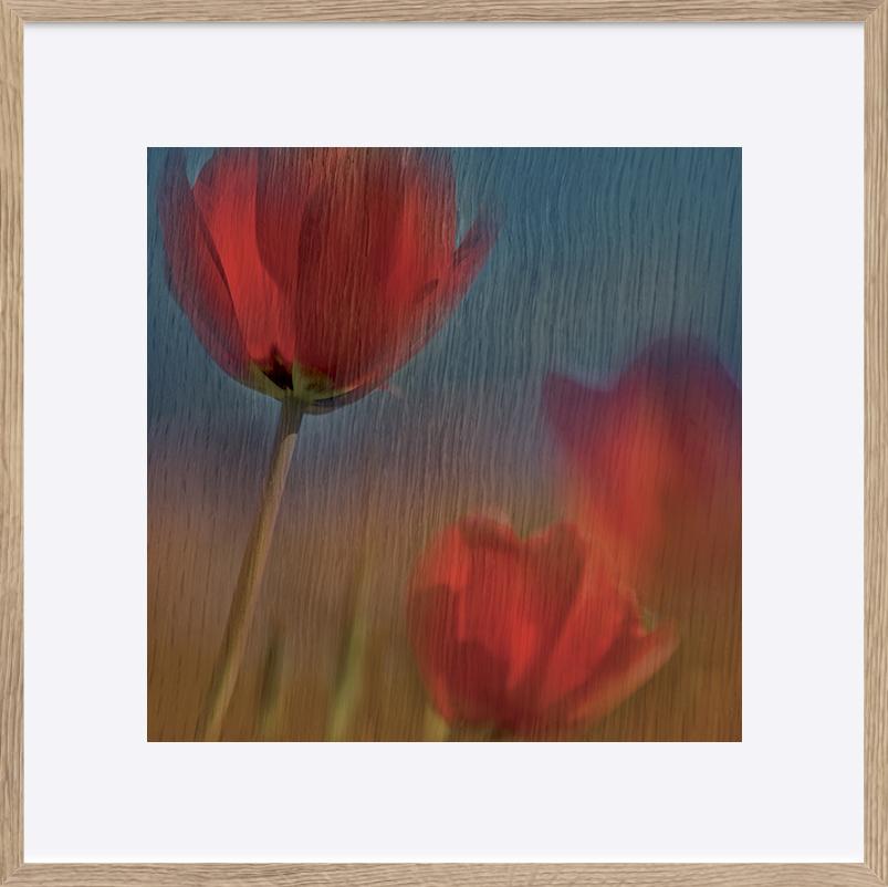 paper_frame
