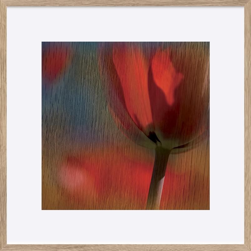paper_frame