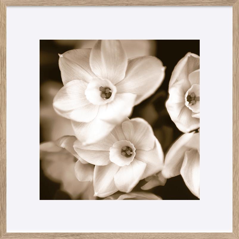 paper_frame