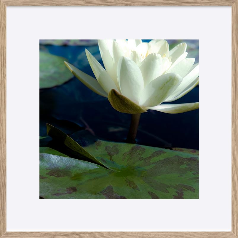 paper_frame