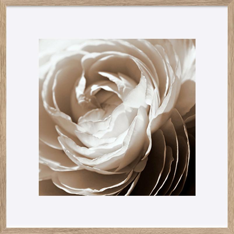 paper_frame