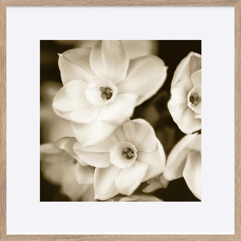 paper_frame