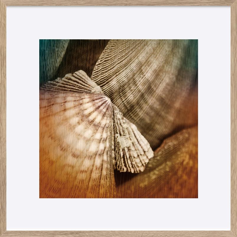 paper_frame
