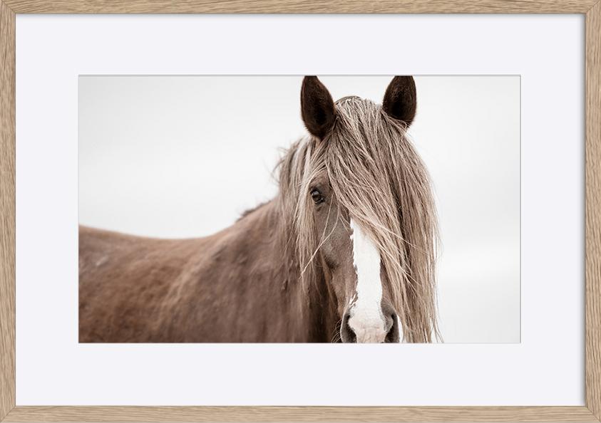 paper_frame