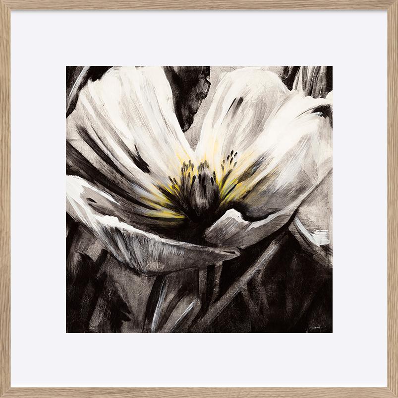 paper_frame