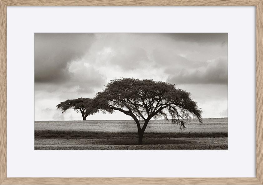 paper_frame