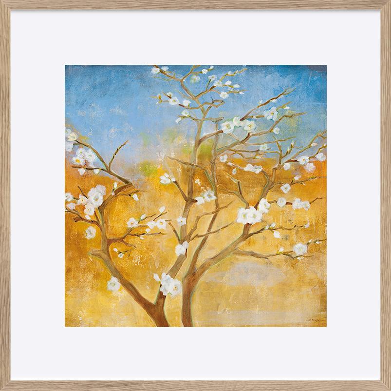 paper_frame