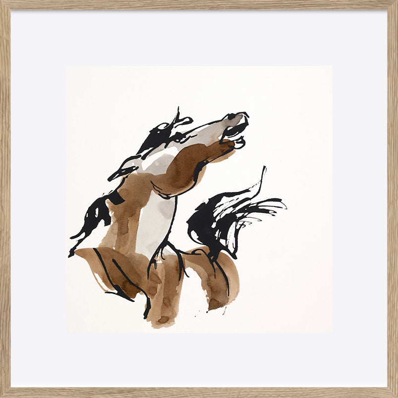 paper_frame