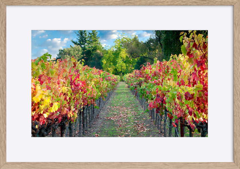 paper_frame