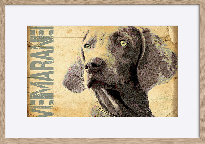 paper_frame