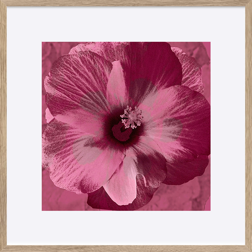 paper_frame
