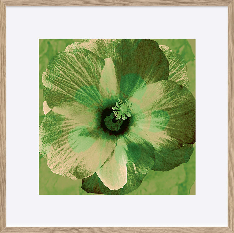 paper_frame