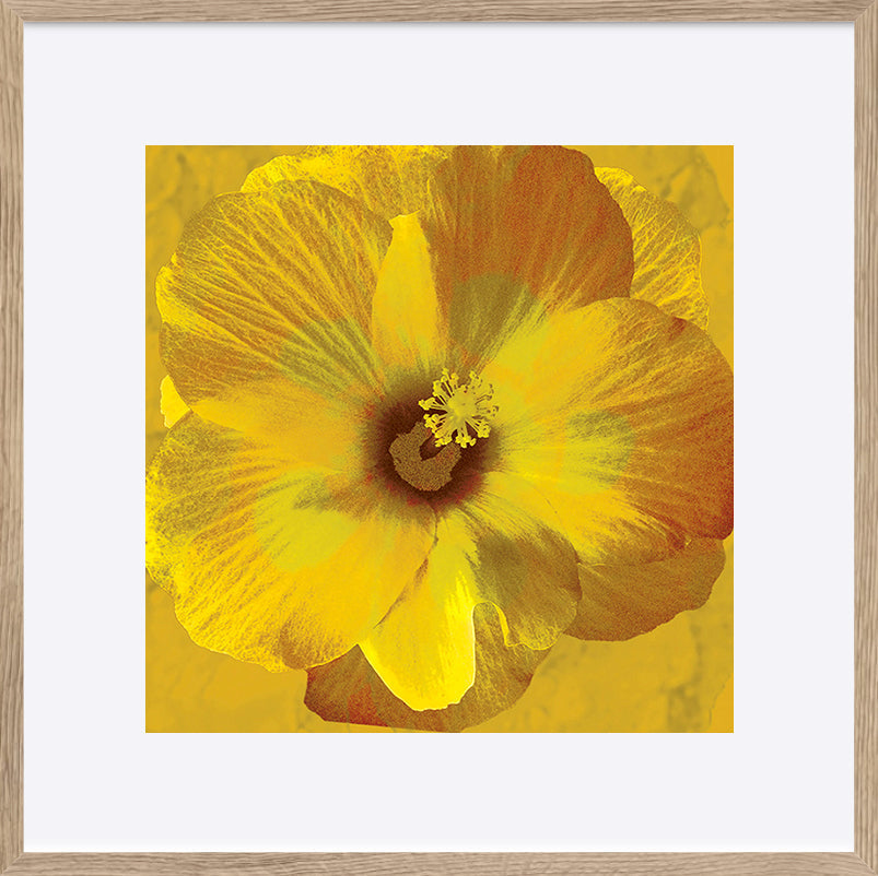 paper_frame