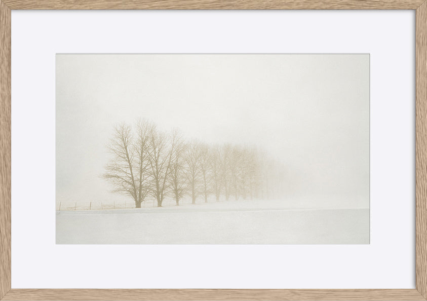 paper_frame