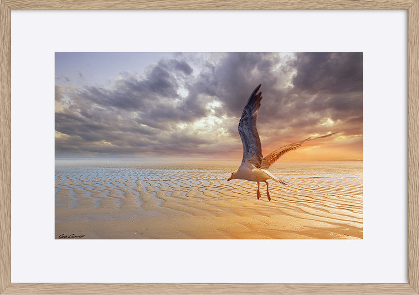 paper_frame