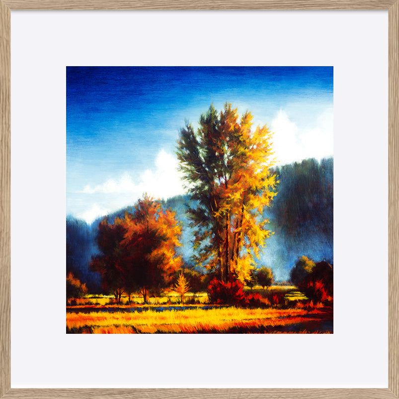 paper_frame