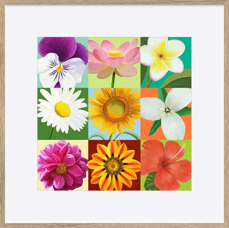 paper_frame