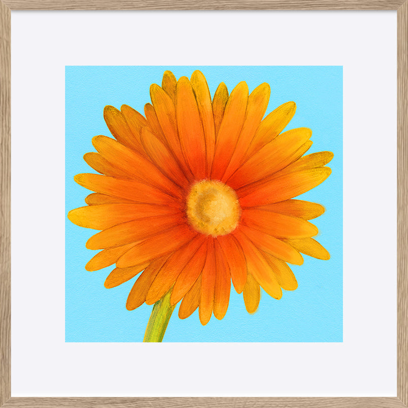 paper_frame