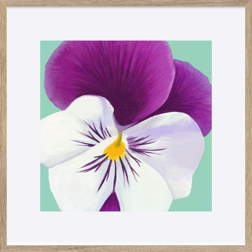 paper_frame