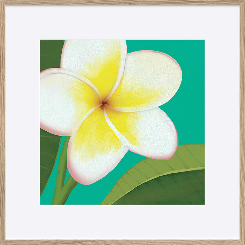 paper_frame