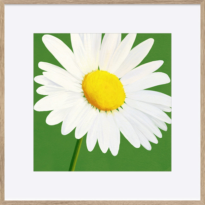 paper_frame