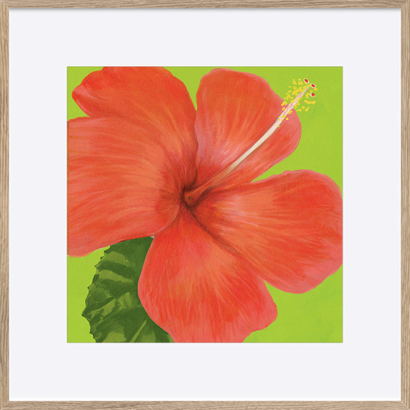 paper_frame