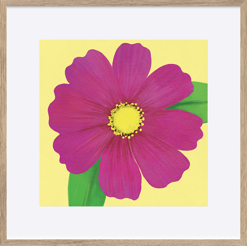 paper_frame