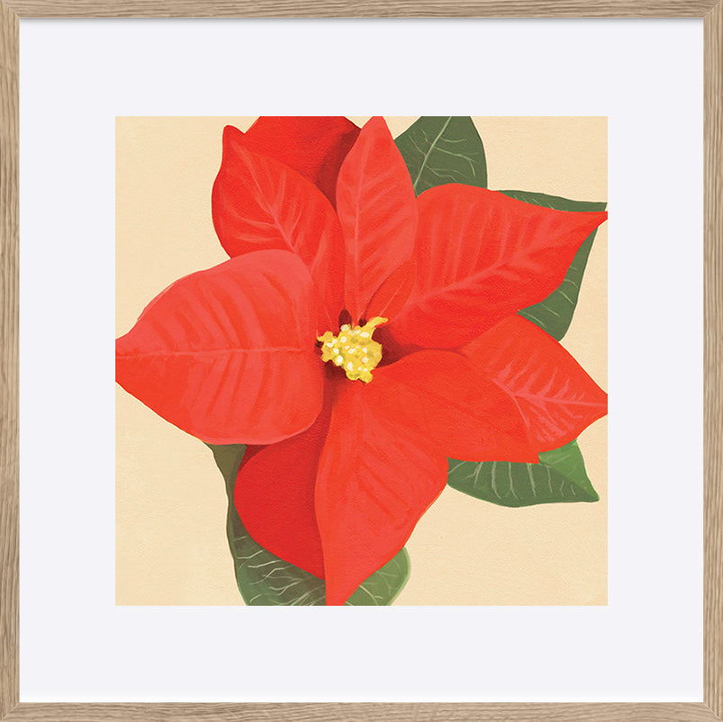 paper_frame