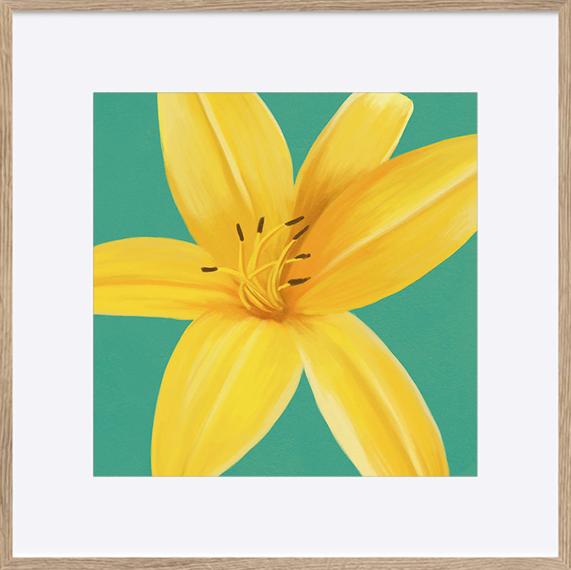 paper_frame