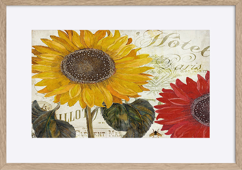 paper_frame