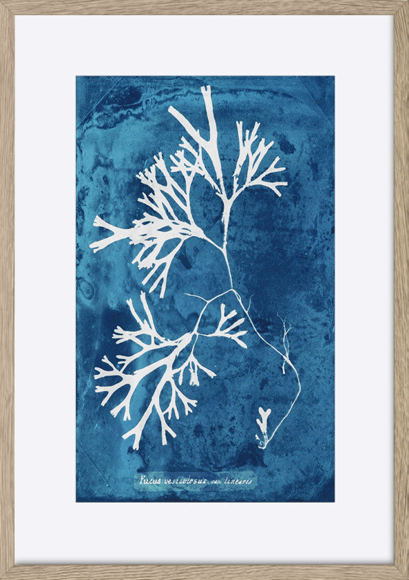 paper_frame