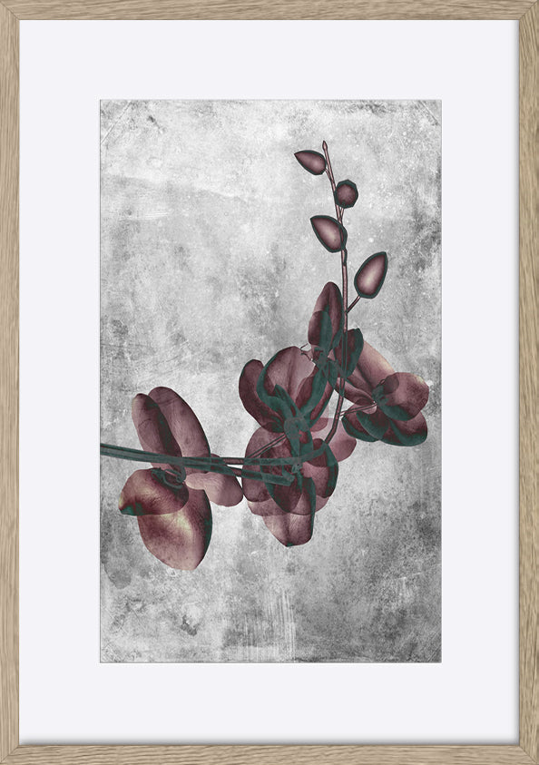 paper_frame