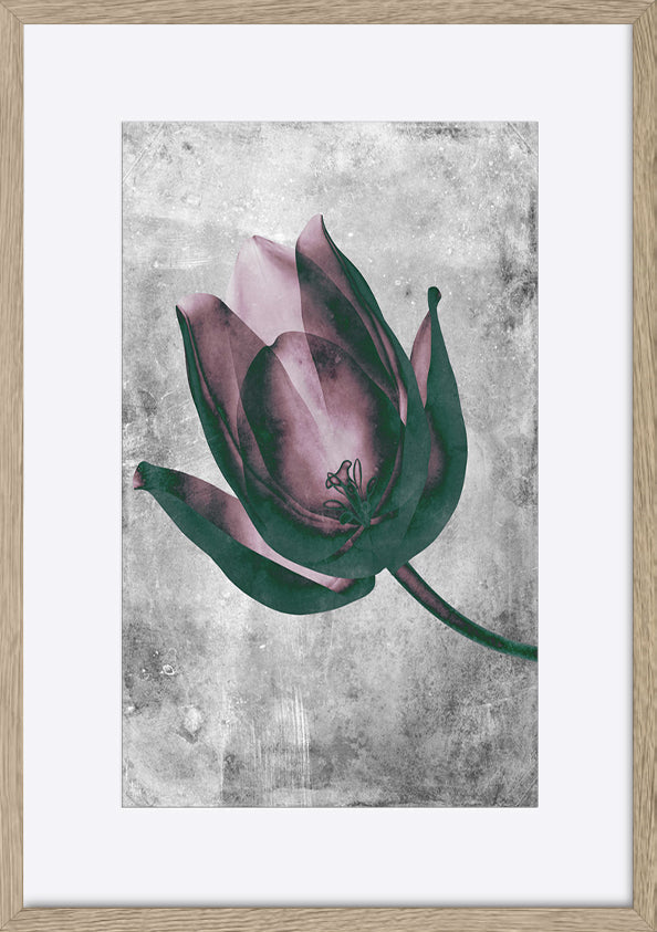 paper_frame