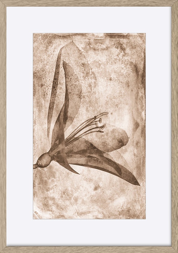 paper_frame