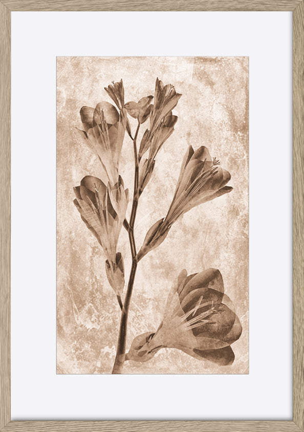 paper_frame
