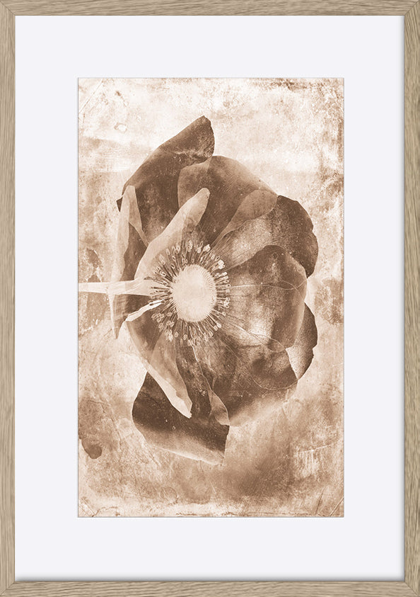 paper_frame