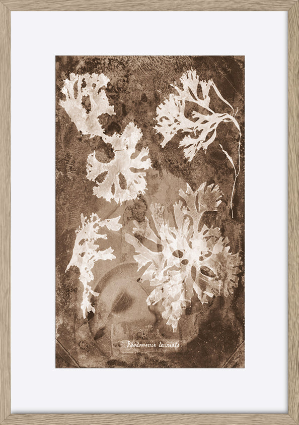 paper_frame
