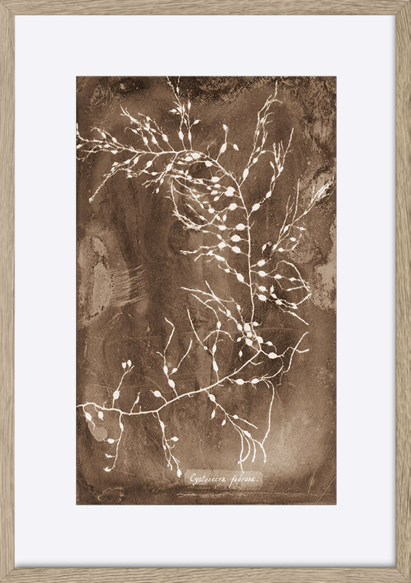 paper_frame