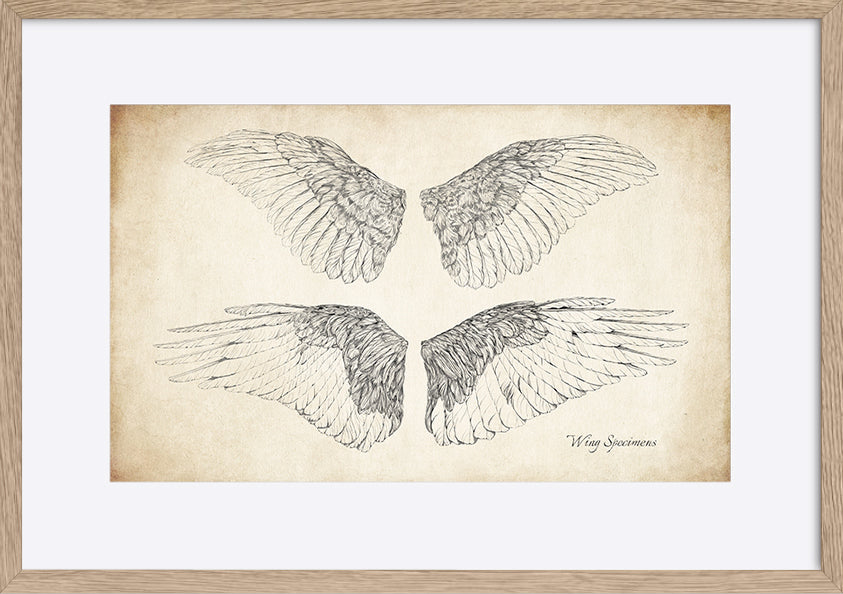 paper_frame