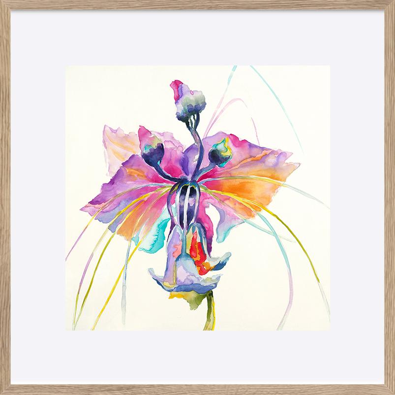 paper_frame