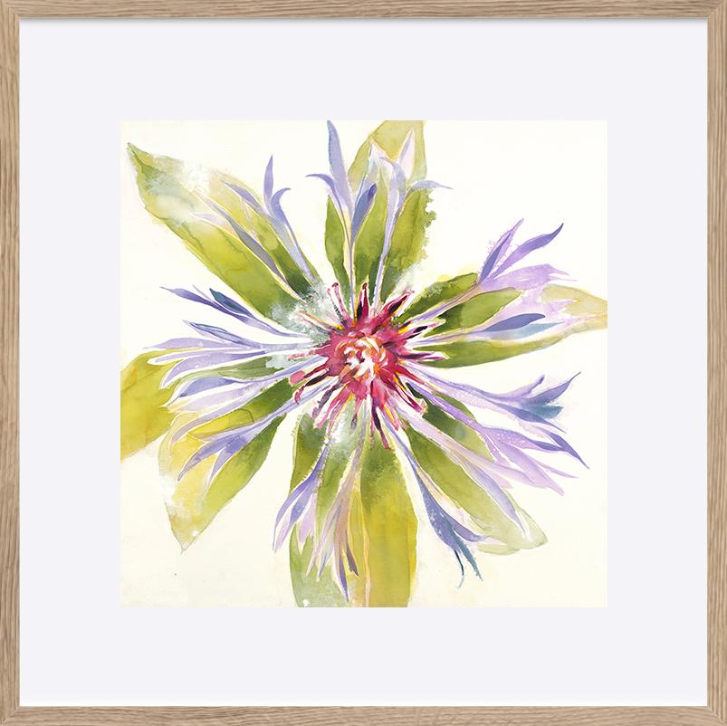 paper_frame