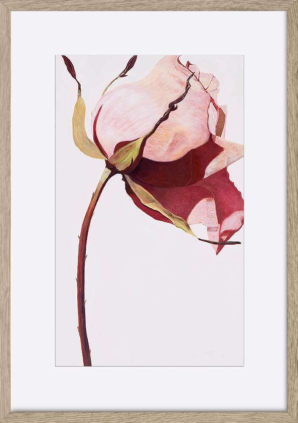 paper_frame