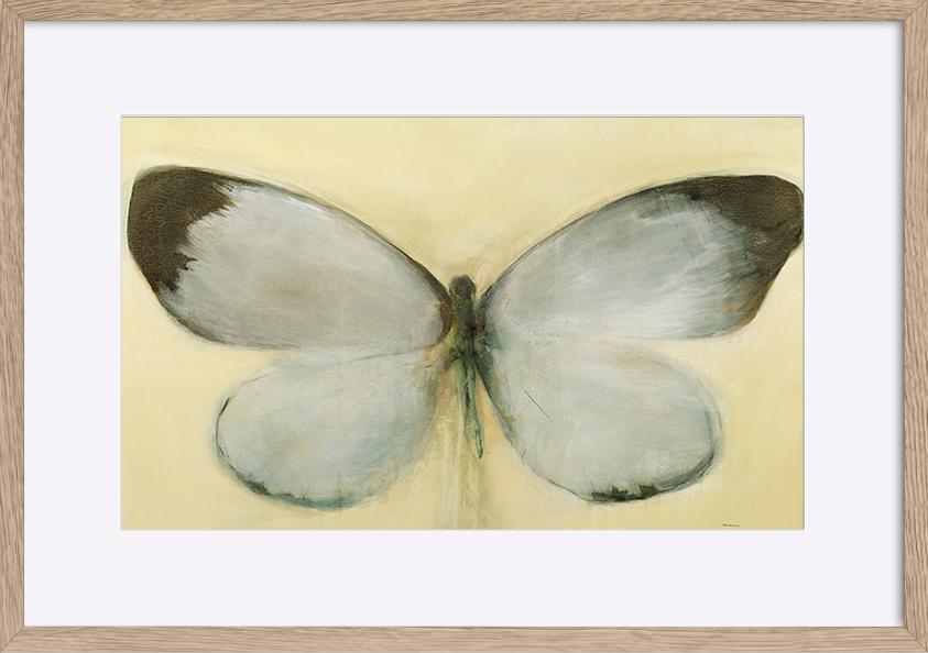 paper_frame