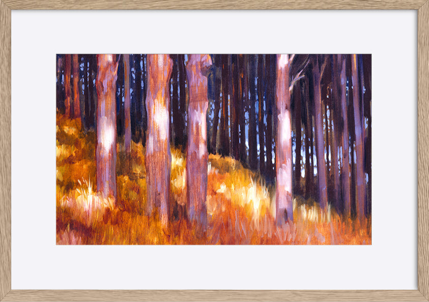 paper_frame