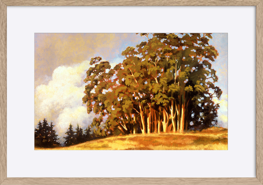 paper_frame