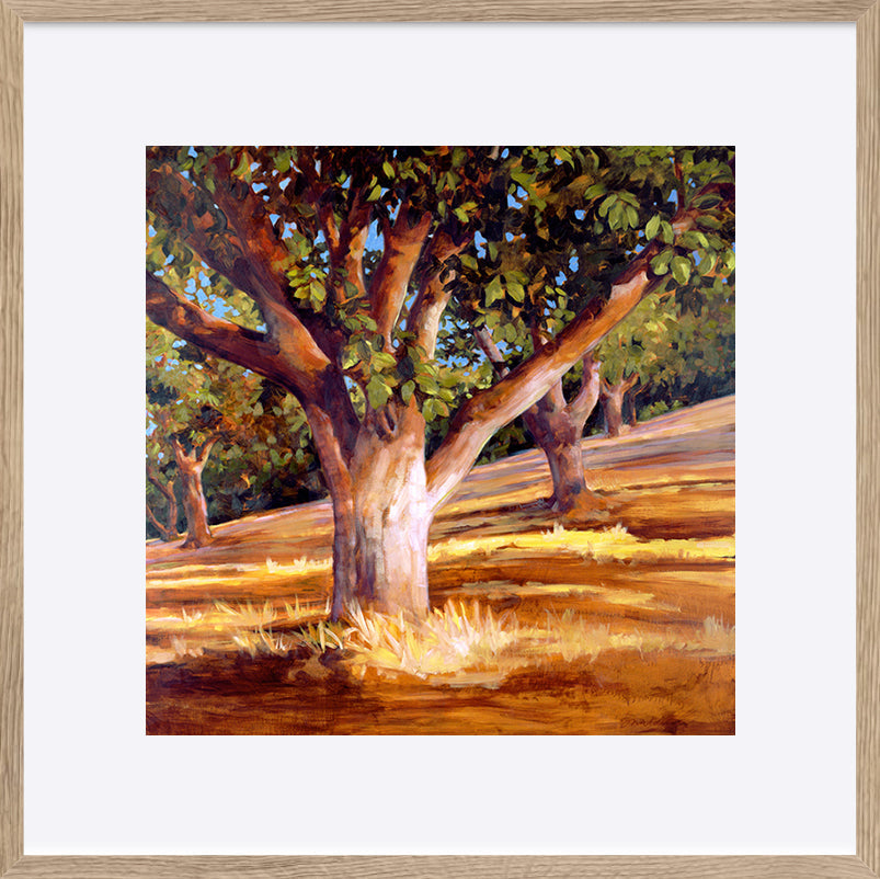 paper_frame