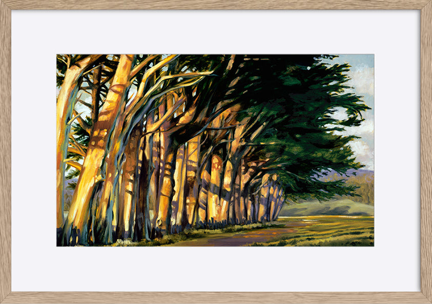 paper_frame