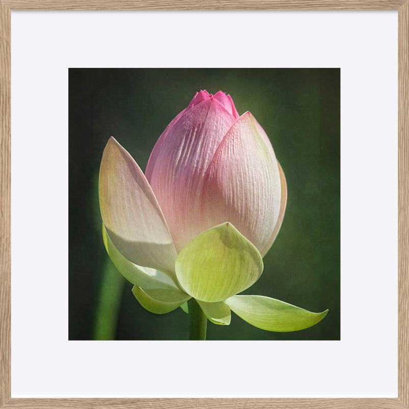 paper_frame