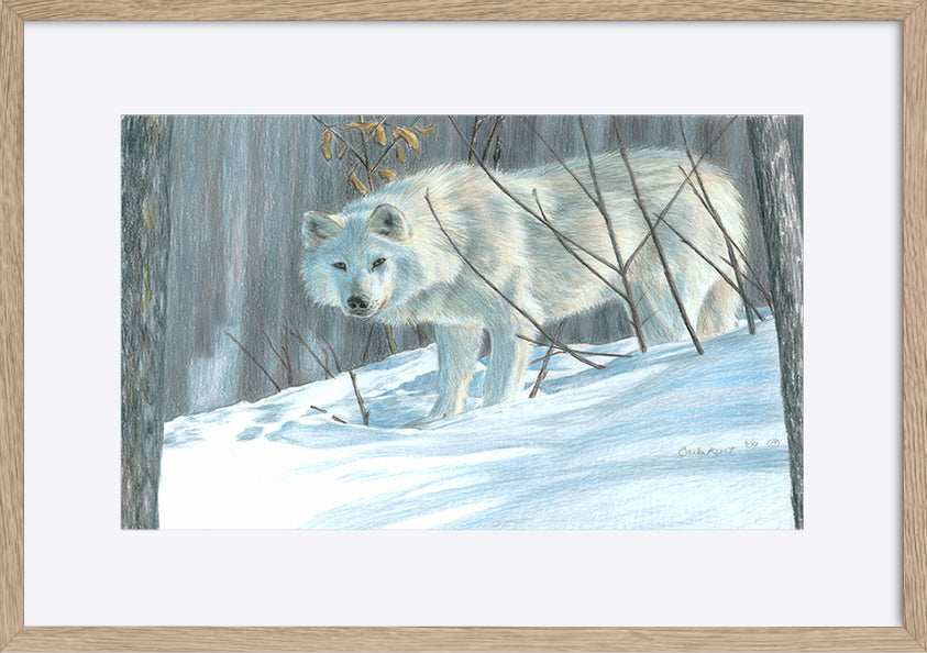 paper_frame