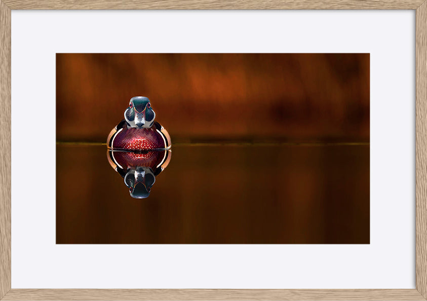 paper_frame